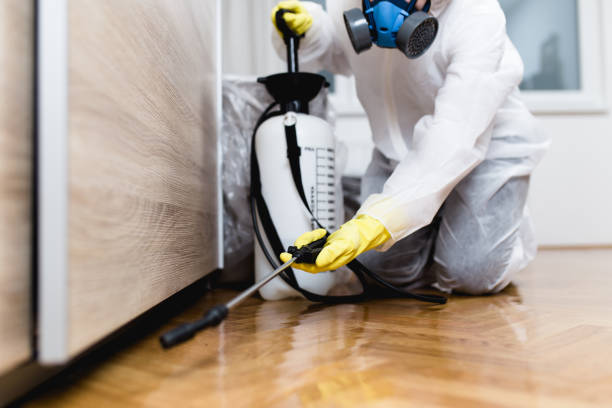 Best Residential Pest Control  in Crown Pot, IN