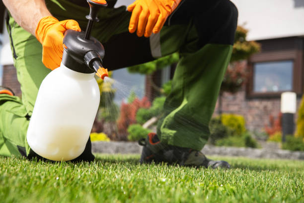 Flea Control Services in Crown Point, IN