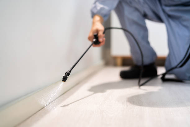 Pest Control for Restaurants in Crown Point, IN
