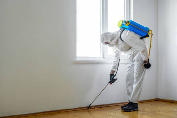 Best Affordable Pest Control Services  in Crown Pot, IN