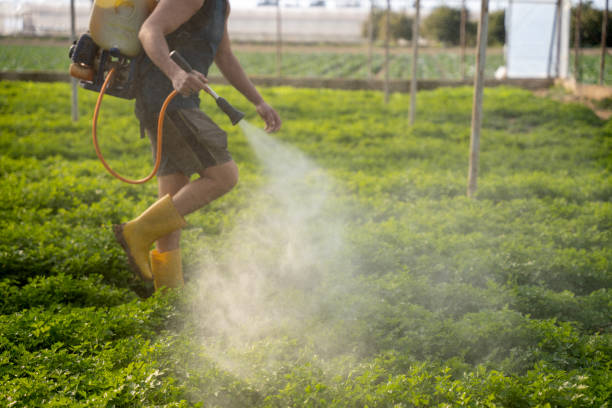 Professional Pest Control in Crown Point, IN