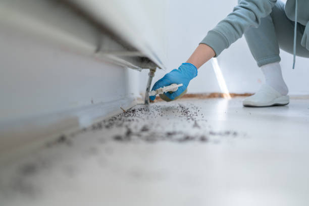 Best Pest Control for Businesses  in Crown Pot, IN